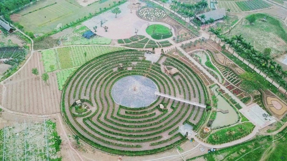 M&ecirc; cung hoa Thạch B&agrave;n tại Rose Park. Ảnh: Internet