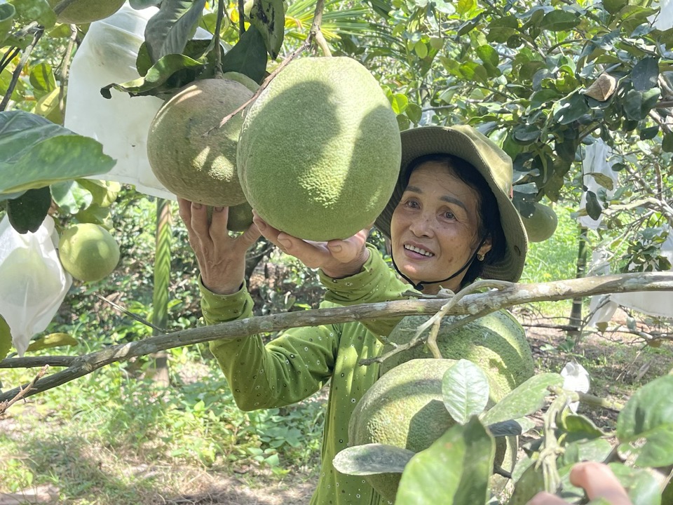 &nbsp; C&aacute;c Chương tr&igrave;nh MTQG được lồng gh&eacute;p thực hiện để tăng hiệu quả c&ocirc;ng t&aacute;c giảm ngh&egrave;o