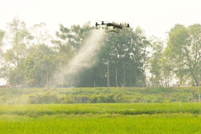 Thiết bị m&aacute;y bay kh&ocirc;ng người l&aacute;i phun thuốc bảo vệ thực vật tại huyện Đ&ocirc;ng Anh (H&agrave; Nội).