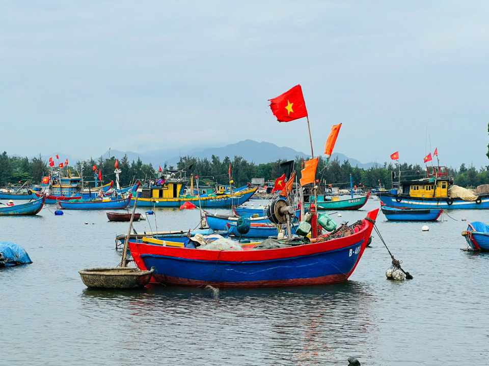 Số t&agrave;u "3 kh&ocirc;ng" chủ yếu thuộc nh&oacute;m hộ kinh tế kh&oacute; khăn, hoạt động ở ven bờ.