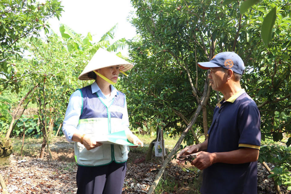 Gi&aacute;m đốc Trung t&acirc;m Khuyến n&ocirc;ng H&agrave; Nội Vũ Thị Hương thăm hỏi, hướng dẫn kỹ thuật chăm s&oacute;c c&acirc;y trồng cho n&ocirc;ng d&acirc;n x&atilde; H&ograve;a Nam, huyện Ứng H&ograve;a. Ảnh: Thu Phượng