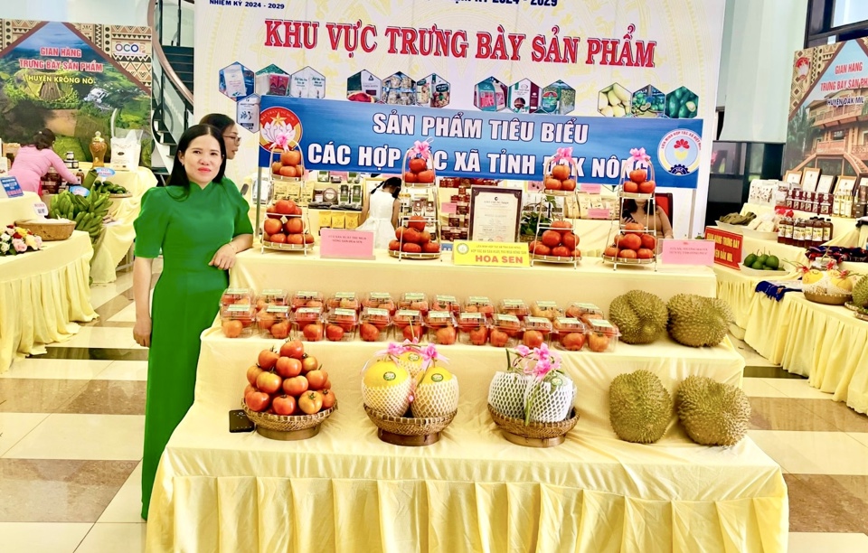 Hợp t&aacute;c x&atilde; sản xuất, thu mua n&ocirc;ng sản Hoa Sen chuy&ecirc;n sản xuất&nbsp;c&agrave; chua v&agrave; dưa lưới.