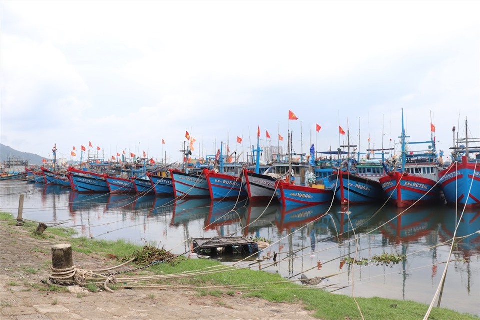 Bộ N&ocirc;ng nghiệp&amp;PTNT đề nghị c&aacute;c bộ, ng&agrave;nh, địa phương quản l&yacute; chặt chẽ t&agrave;u thuyền.