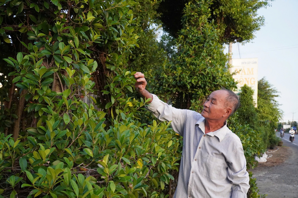 Nghệ nh&acirc;n Năm C&ocirc;ng được phong l&agrave; &ldquo;vua kiểng th&uacute;&rdquo; ở &ldquo;vương quốc&rdquo; hoa, c&acirc;y kiểng Bến Tre. Ảnh CTV