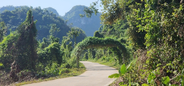 L&agrave;ng Việt Hải vẫn giữ nguy&ecirc;n vẻ đẹp sau h&agrave;ng trăm năm. Ảnh Tiến Bảo&nbsp;