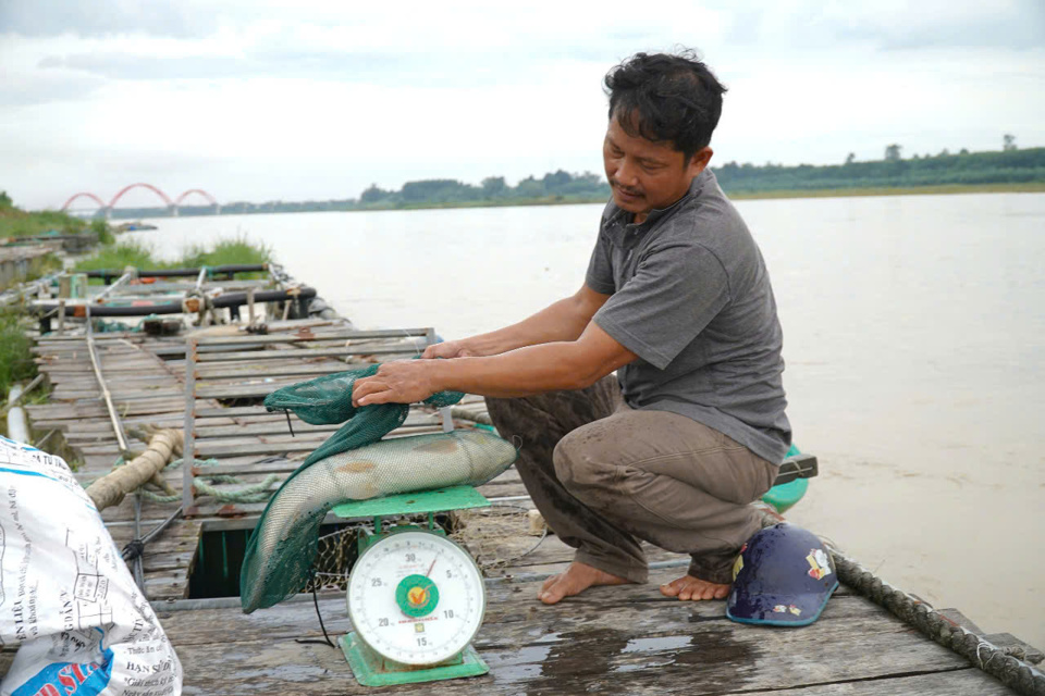 Nu&ocirc;i thủy sản xen gh&eacute;p lồng b&egrave; tr&ecirc;n s&ocirc;ng Tr&agrave; Kh&uacute;c.