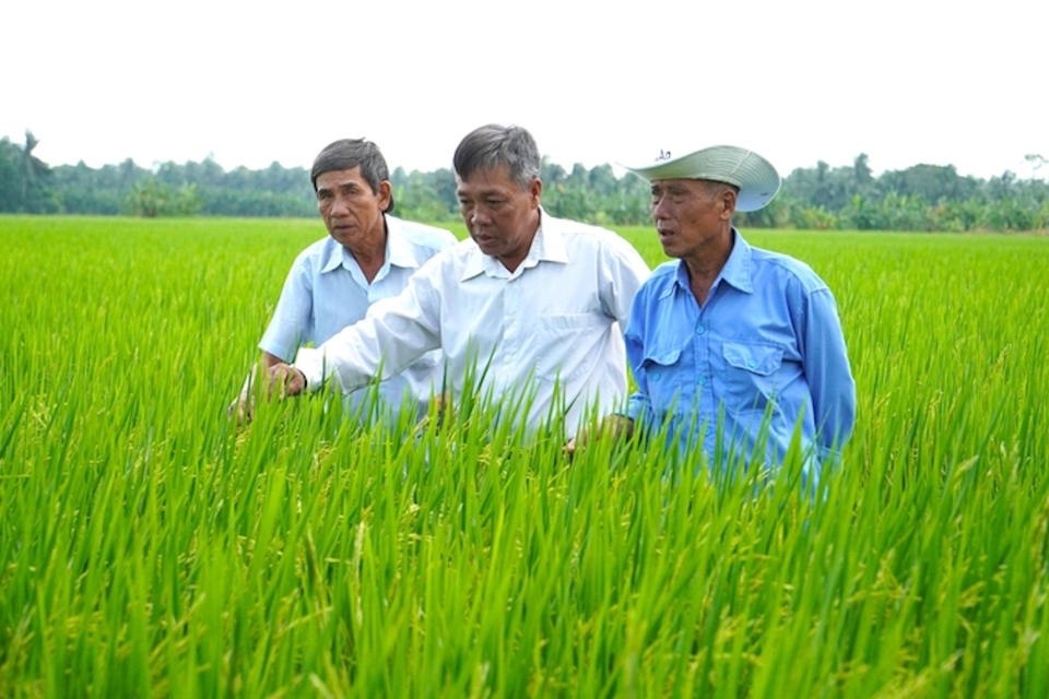 Phổ biến khoa học - kỹ thuật đến người n&ocirc;ng d&acirc;n l&agrave; giải ph&aacute;p hướng tới n&acirc;ng cao gi&aacute; trị cho gạo Việt.