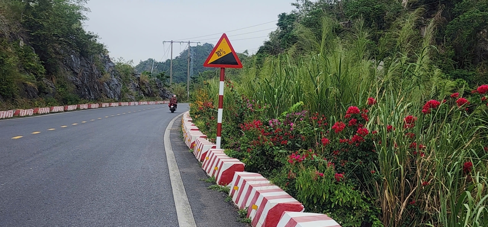 Cung đường hoa đẹp m&ecirc; đắm l&ograve;ng người. Ảnh: Tiến Bảo