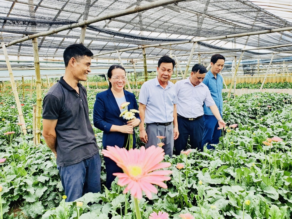 M&ocirc; h&igrave;nh trồng hoa tại x&atilde; Đồng Th&aacute;p, huyện Đan Phượng (H&agrave; Nội) cho hiệu quả kinh tế cao. Ảnh: Ngọc &Aacute;nh