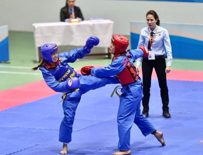 voivinam-.jpg