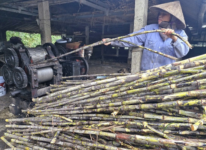 Thay v&igrave; &eacute;p thủ c&ocirc;ng như trước đ&acirc;y, hiện nay người d&acirc;n x&atilde; Thọ Điền đ&atilde; sử dụng m&aacute;y &eacute;p để n&acirc;ng cao hiệu quả sản xuất