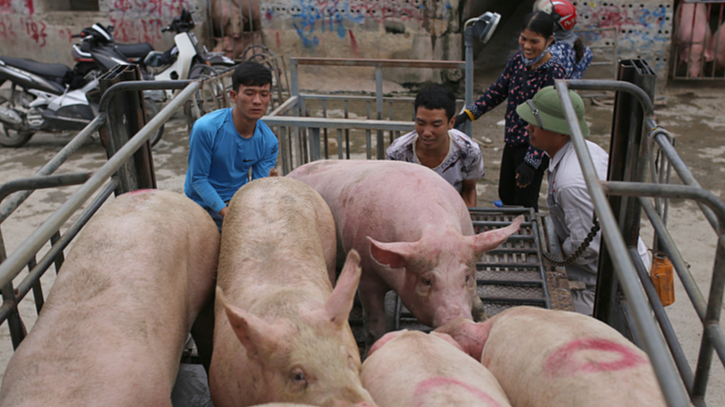 Gi&aacute; heo hơi h&ocirc;m nay 14/12: tăng 1 gi&aacute; tại miền Nam. Ảnh minh họa.