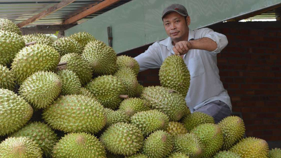 Tin tức kinh tế 28/12: cuối năm tr&aacute;i sầu ri&ecirc;ng tăng gi&aacute; ở mức kỉ lục. Ảnh minh họa.