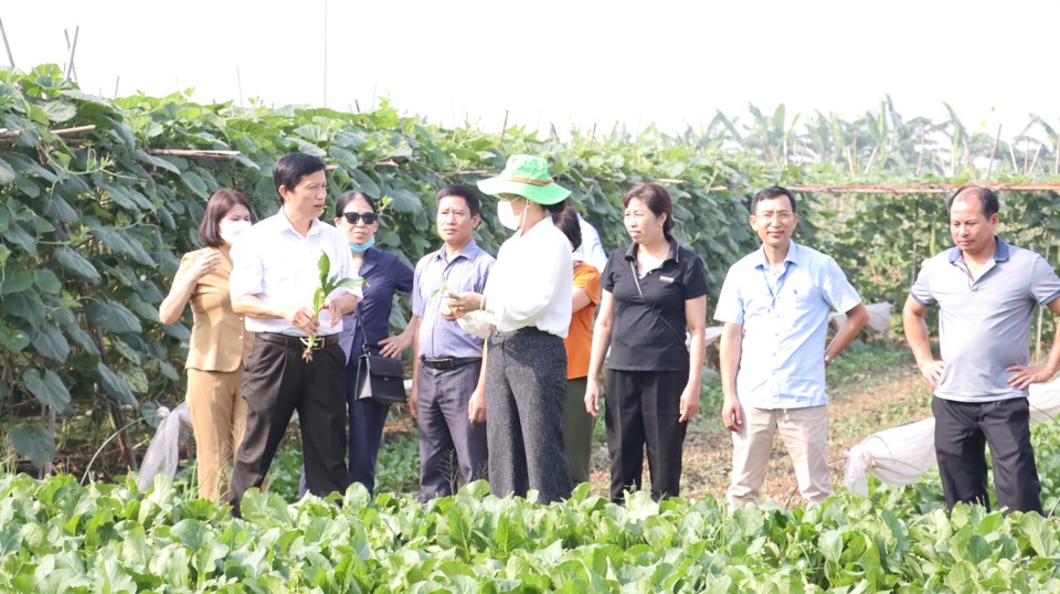 Đo&agrave;n c&ocirc;ng t&aacute;c Sở NN&amp;PTNT H&agrave; Nội khảo s&aacute;t v&ugrave;ng sản xuất rau an to&agrave;n tại x&atilde; Văn Đức, huyện Gia L&acirc;m. Ảnh: Ngọc &Aacute;nh&nbsp;