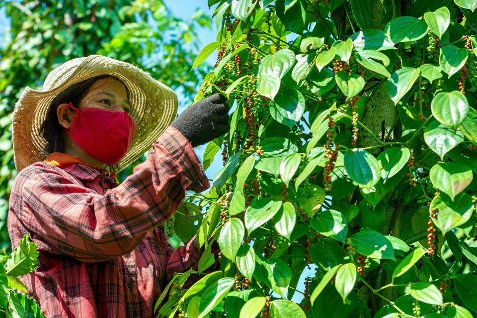 Giảm nghèo bền vững, chìa khóa vàng cho tương lai - Ảnh 3