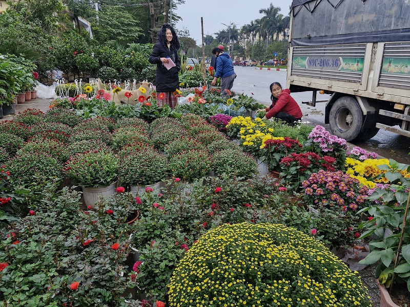 Tr&ecirc;n vỉa h&egrave; của một số tuyến phố hoa tết được b&agrave;y b&aacute;n nhiều chủng loại để người d&acirc;n lựa chọn mua sắm&nbsp;