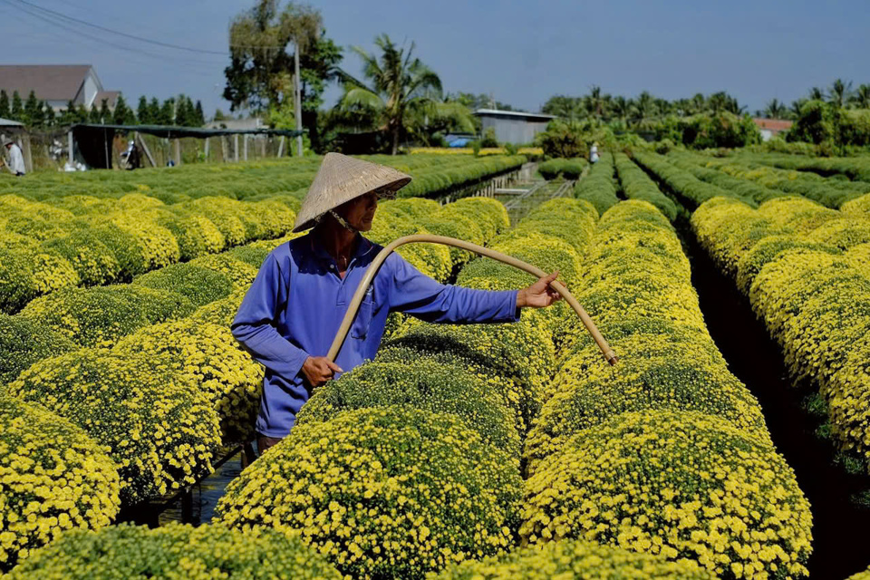 N&ocirc;ng d&acirc;n h&aacute;o hức với lễ hội hoa kiểng.