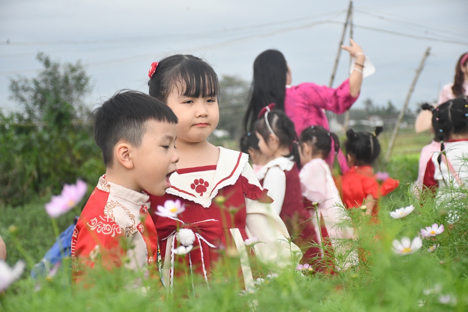 Mở cửa đ&oacute;n kh&aacute;ch trước thềm Tết Nguy&ecirc;n đ&aacute;n Ất Tỵ 2025, c&aacute;nh đồng hoa Nghĩa H&agrave; trở th&agrave;nh điểm đến của du kh&aacute;ch gần xa.