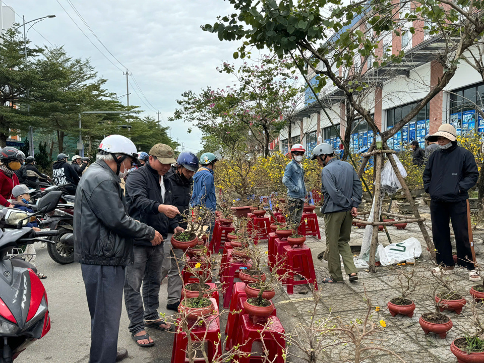 Kh&aacute;c với kh&ocirc;ng kh&iacute; trầm lắng của những ng&agrave;y trước, chợ hoa Xu&acirc;n Quảng Ng&atilde;i ng&agrave;y 28/1 (tức 29 th&aacute;ng Chạp) tấp nập kẻ b&aacute;n người mua.