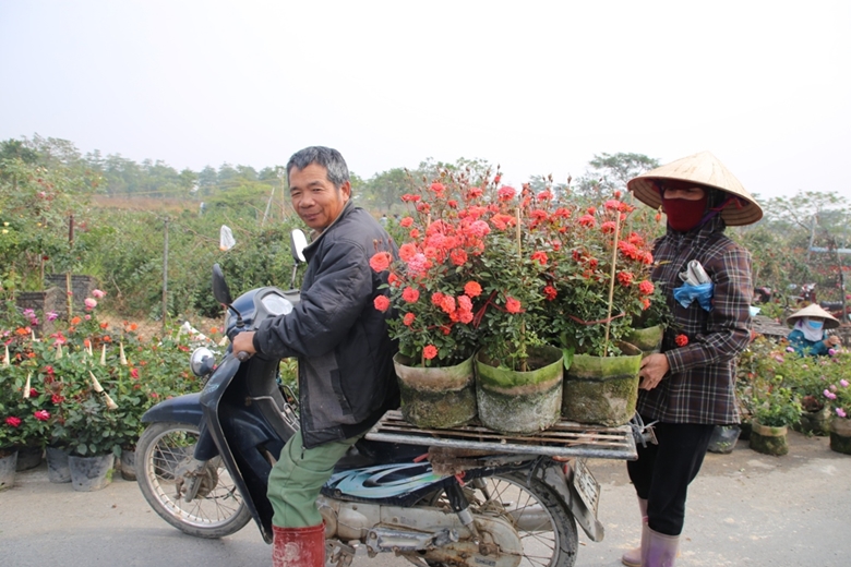 Một nh&agrave; vườn tại x&atilde; M&ecirc; Linh (huyện M&ecirc; Linh) vận chuyển hoa theo đơn đặt h&agrave;ng của kh&aacute;ch. Ảnh: Thu Hồng