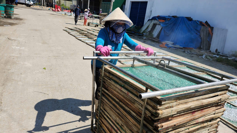 Rồi mang đi phơi nắng.