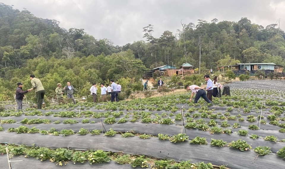 Du kh&aacute;ch kh&aacute;m ph&aacute; m&ocirc; h&igrave;nh n&ocirc;ng nghiệp ở Kon Tum.