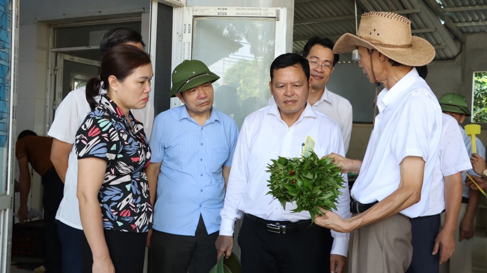 Trung t&acirc;m Khuyến n&ocirc;ng H&agrave; Nội đồng h&agrave;nh, hỗ trợ nhiều hợp t&aacute;c x&atilde; n&ocirc;ng nghiệp tr&ecirc;n địa b&agrave;n TP. Ảnh: &Aacute;nh Ngọc