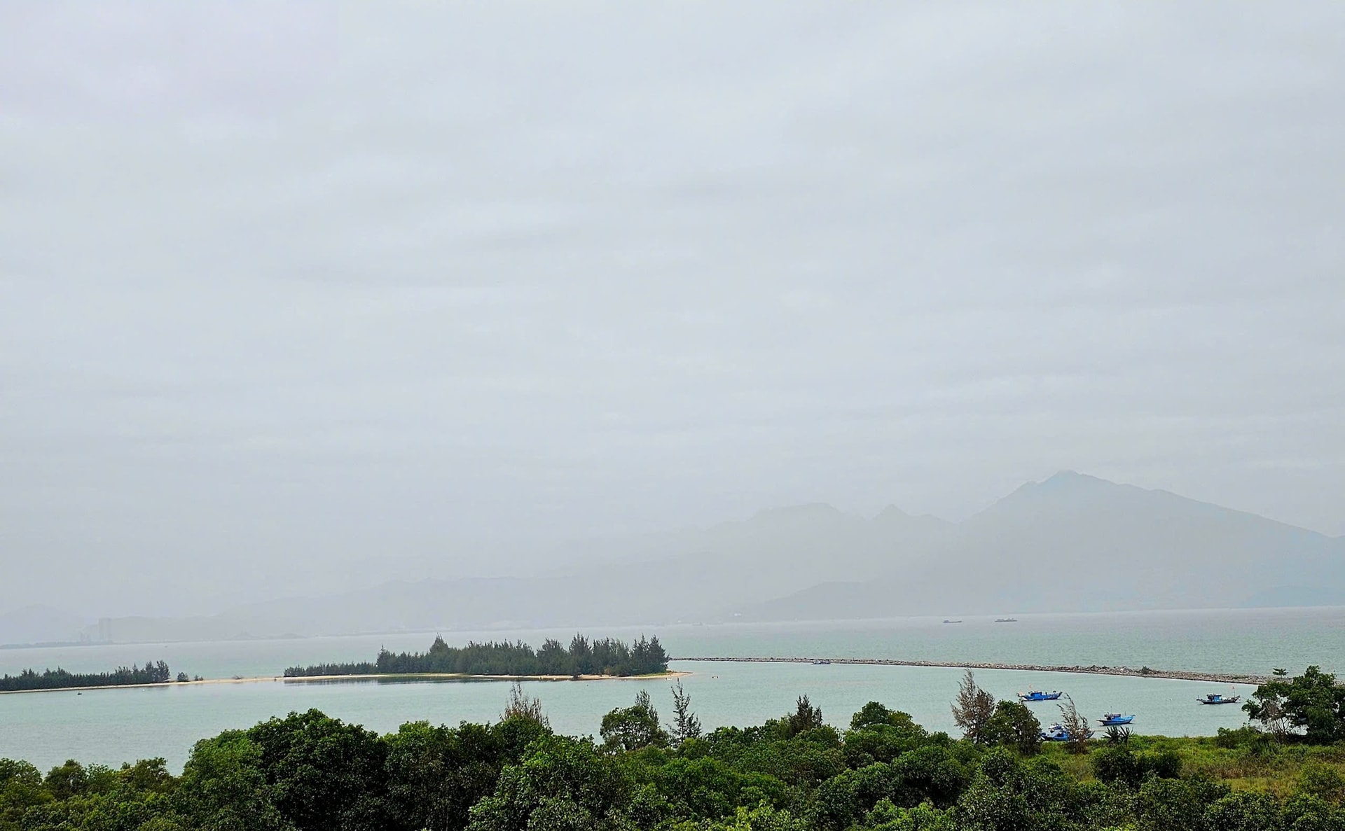 25-4-cutri-danang2 25-4-cutri-danang2.jpg