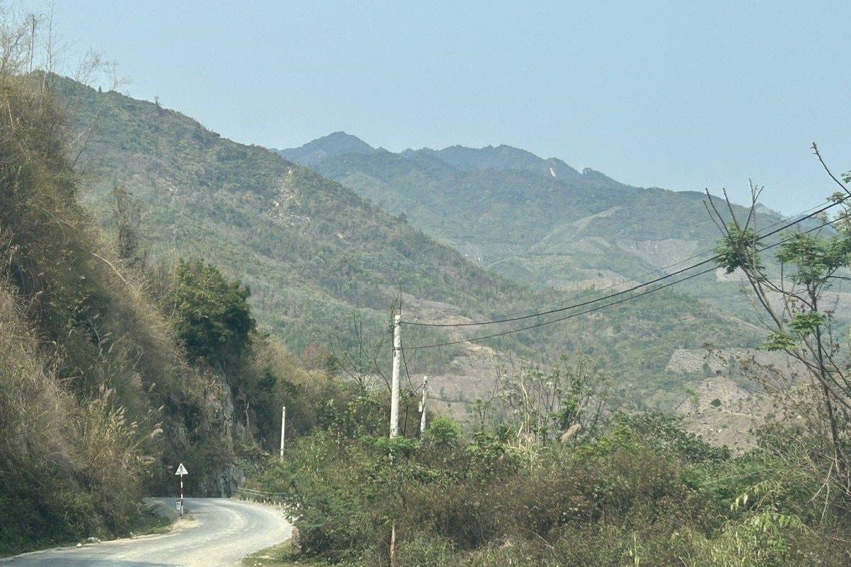 muongly muongly.jpg
