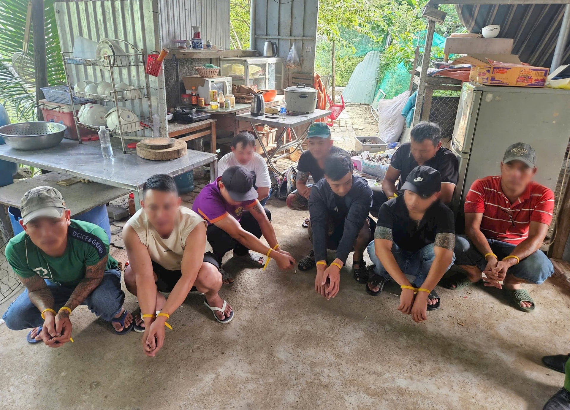 17-5-da-ga1 17-5-da-ga1.jpg