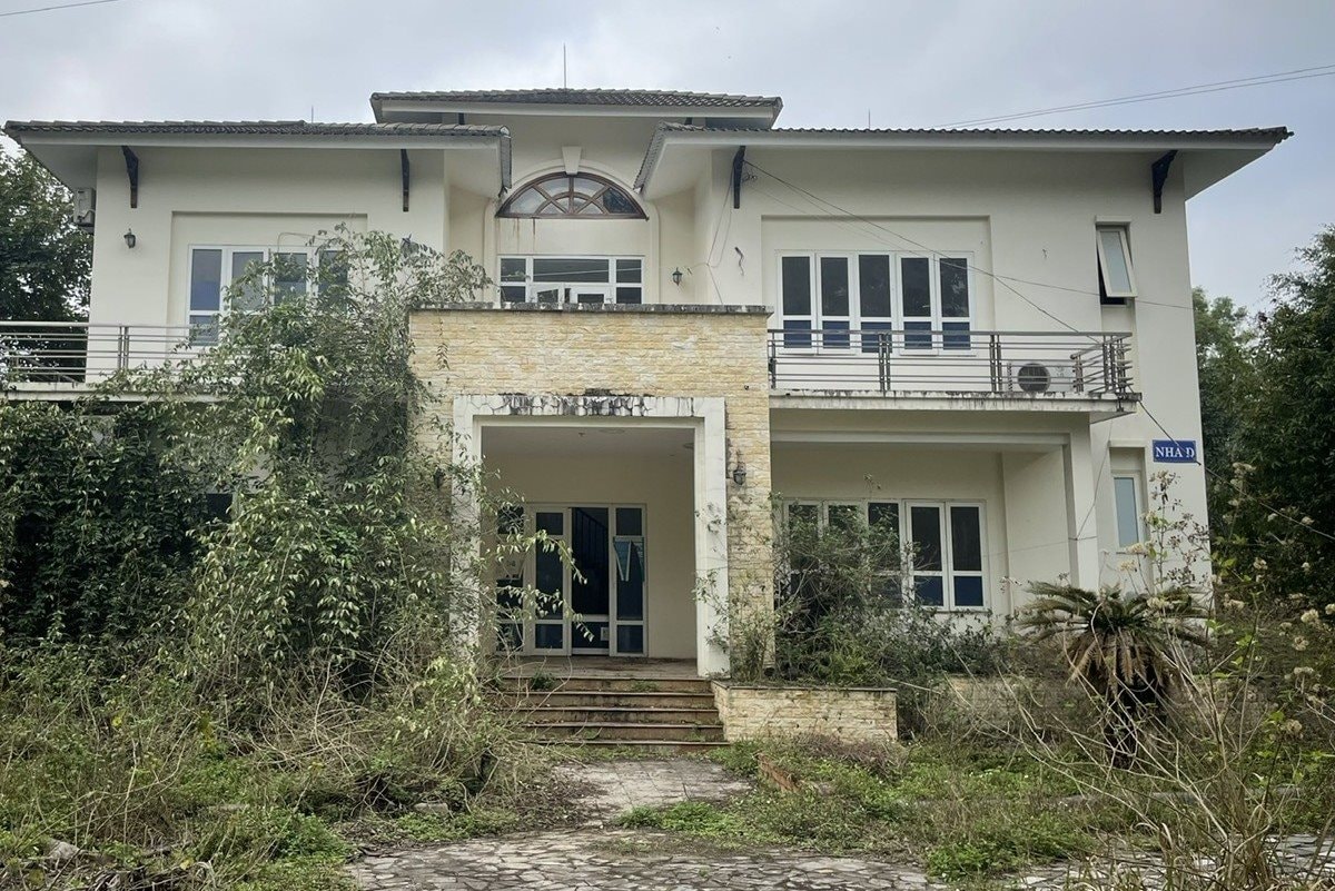 biethu biethu.jpg