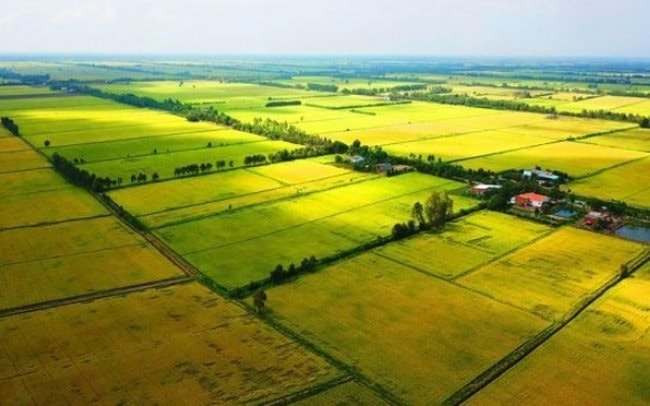 img_4390 img_4390.jpeg