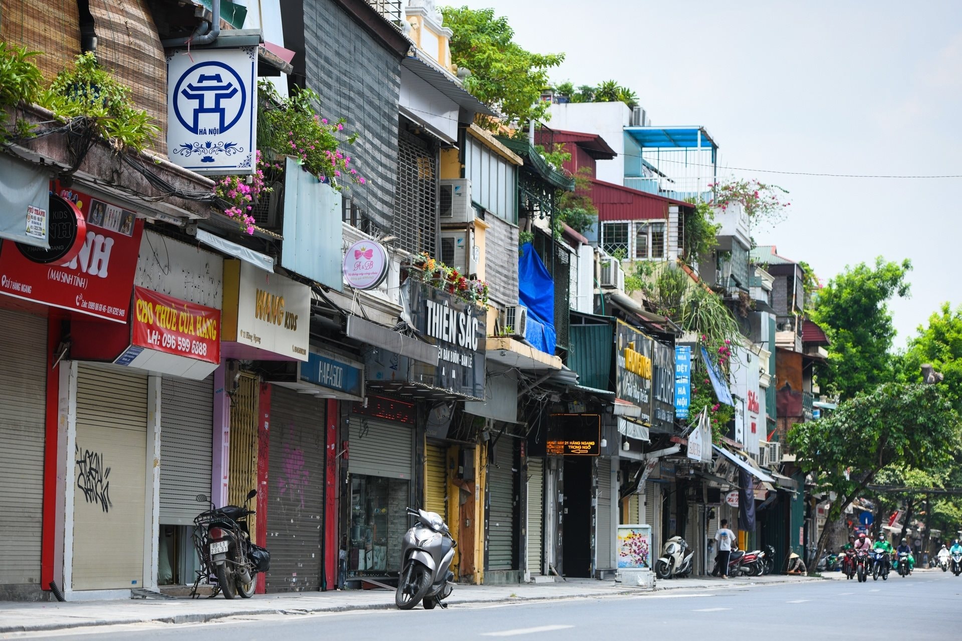 nha-pho nha-pho.jpg