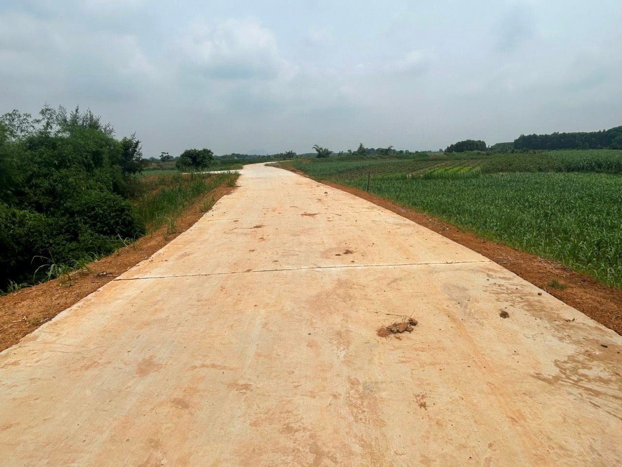 betong betong.jpg