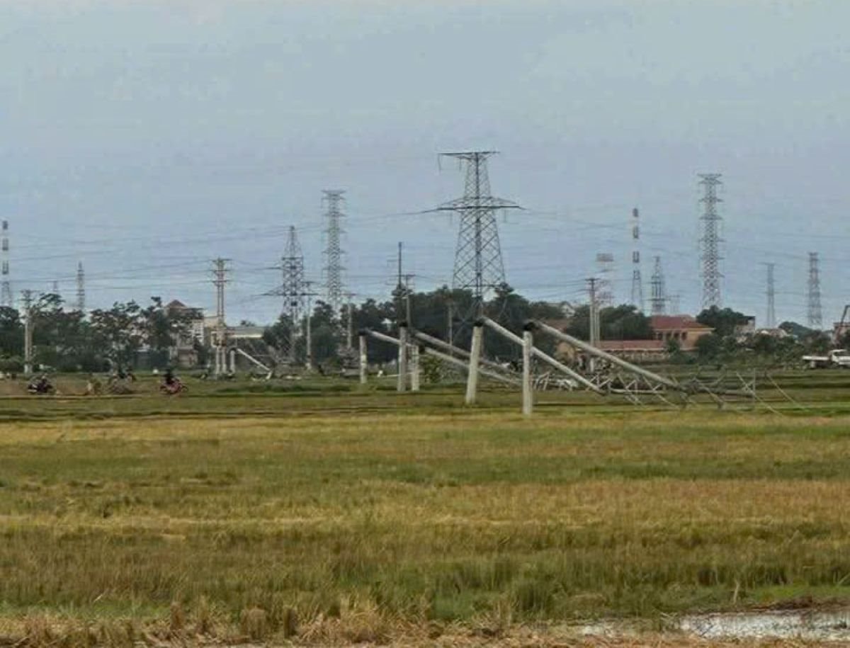 cotdien cotdien.jpg