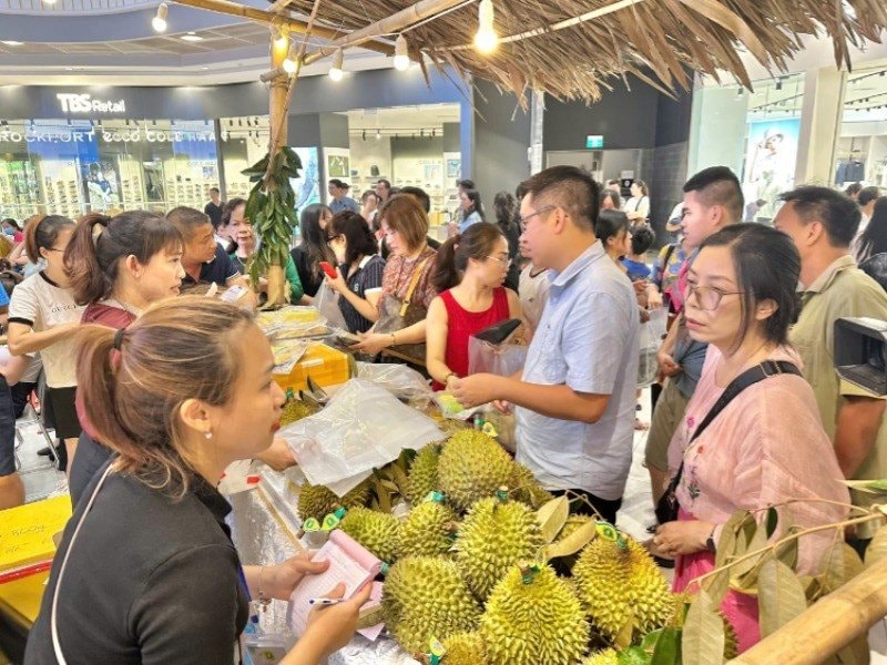 nguoi-dan-mua-sau-rieng nguoi-dan-mua-sau-rieng.jpg