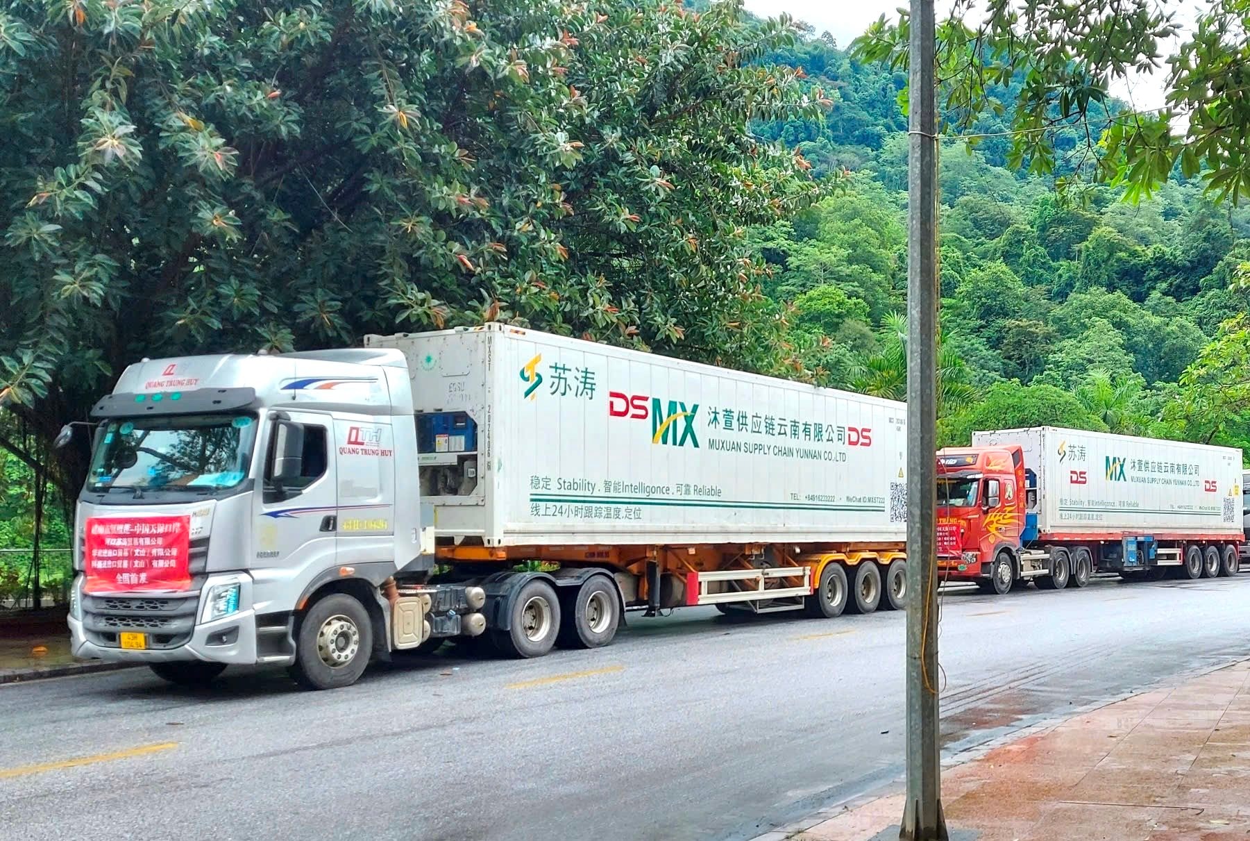 sau-a1.jpg