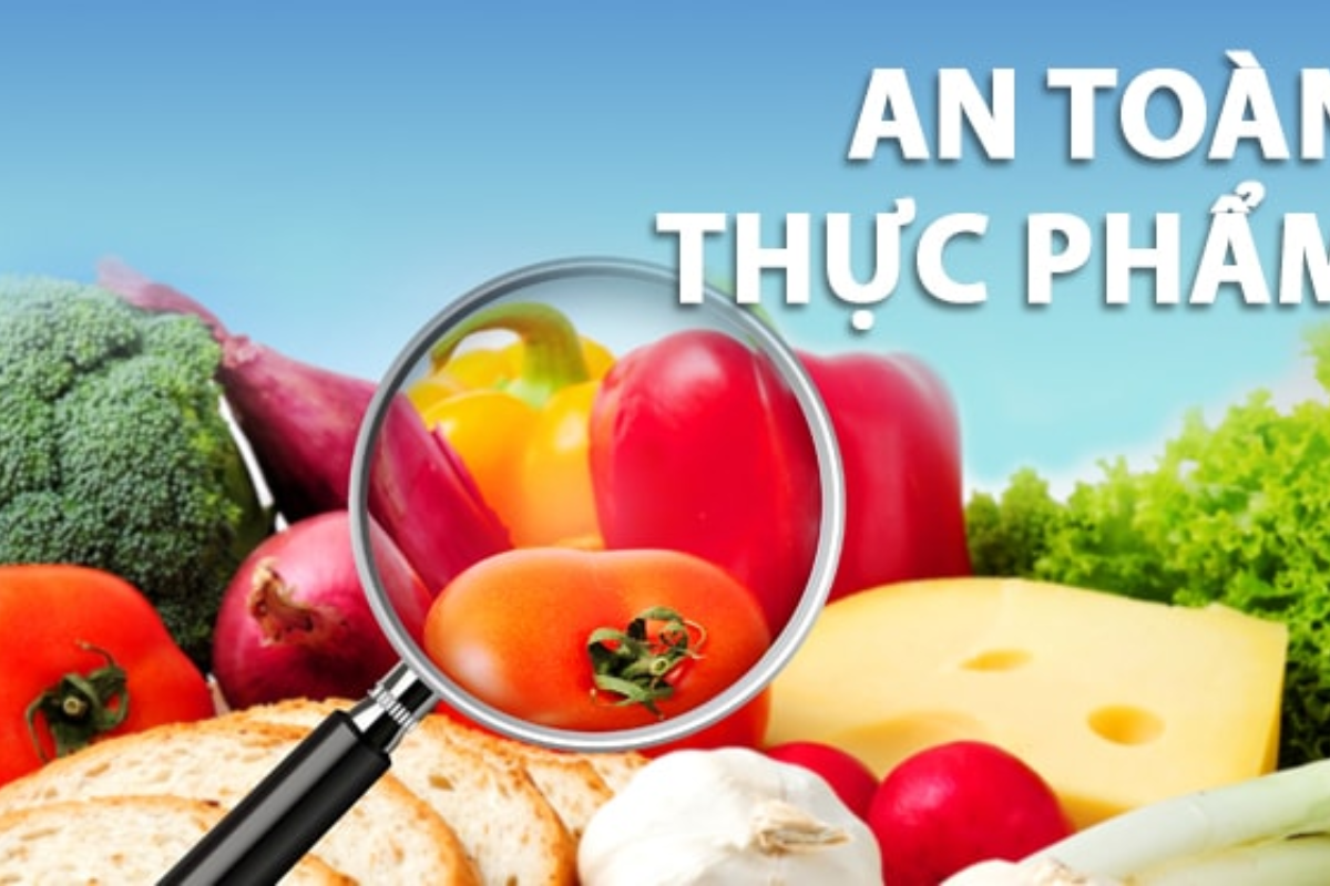 thiet-ke-chua-co-ten-2025-06-24t140517 thiet-ke-chua-co-ten-2025-06-24t140517.665.png