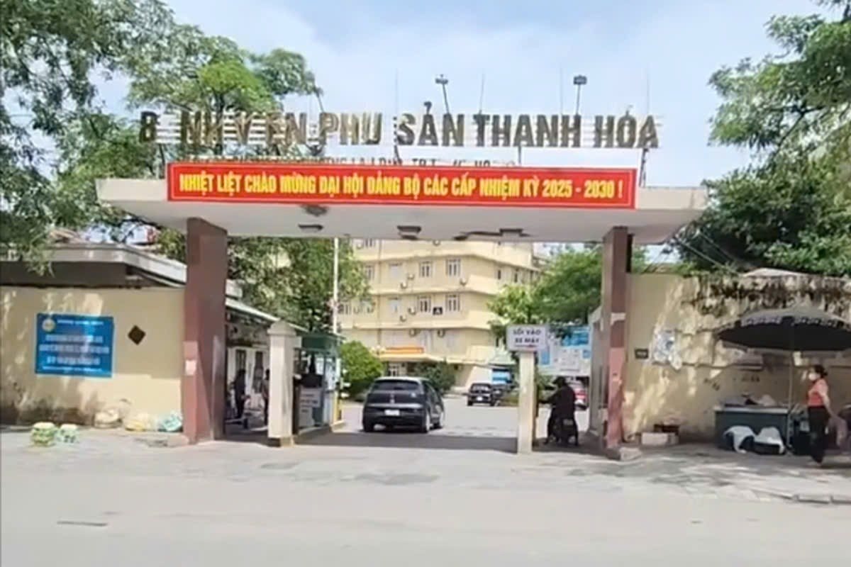 bvphusan bvphusan.jpg