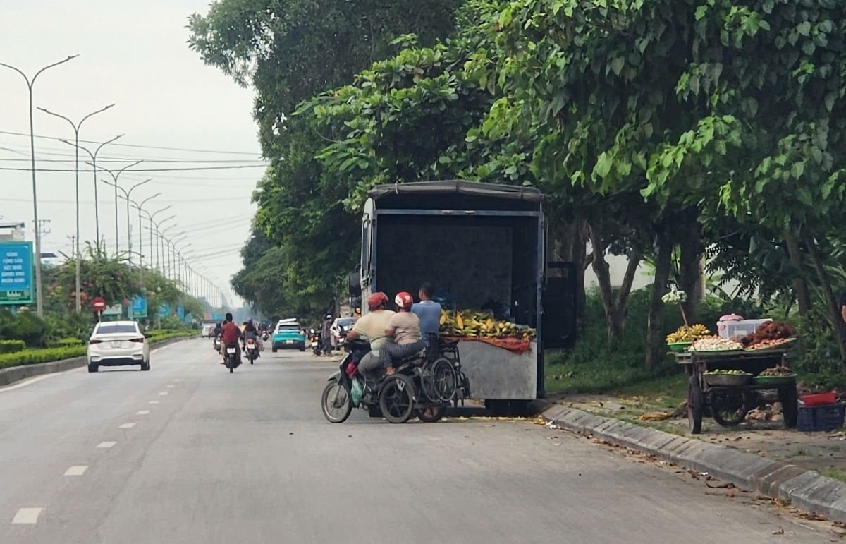 longduong longduong.jpg