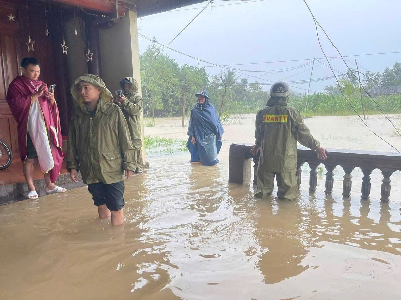 ngaplut ngaplut.jpg