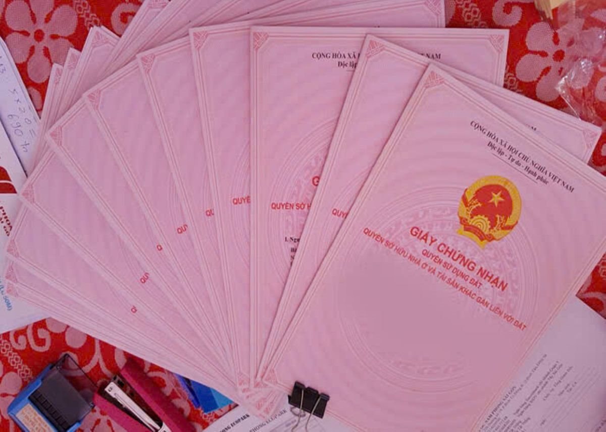 sohong sohong.jpg