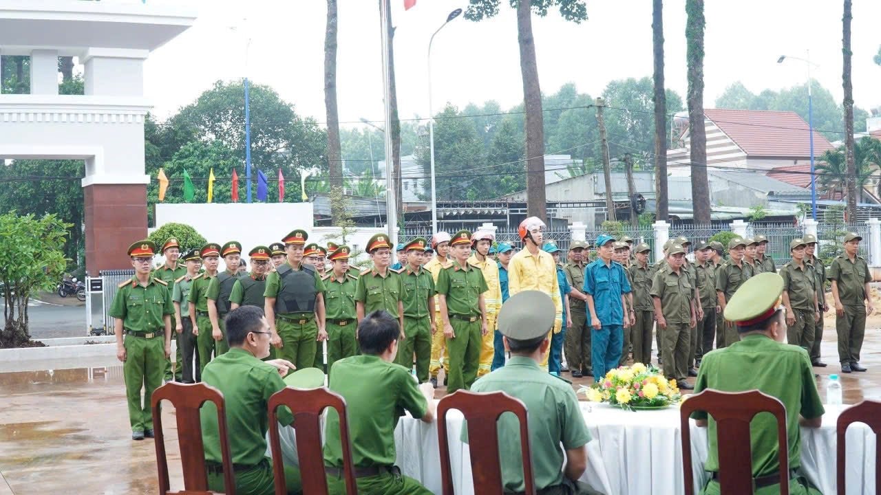 tctp3 tctp3.jpg