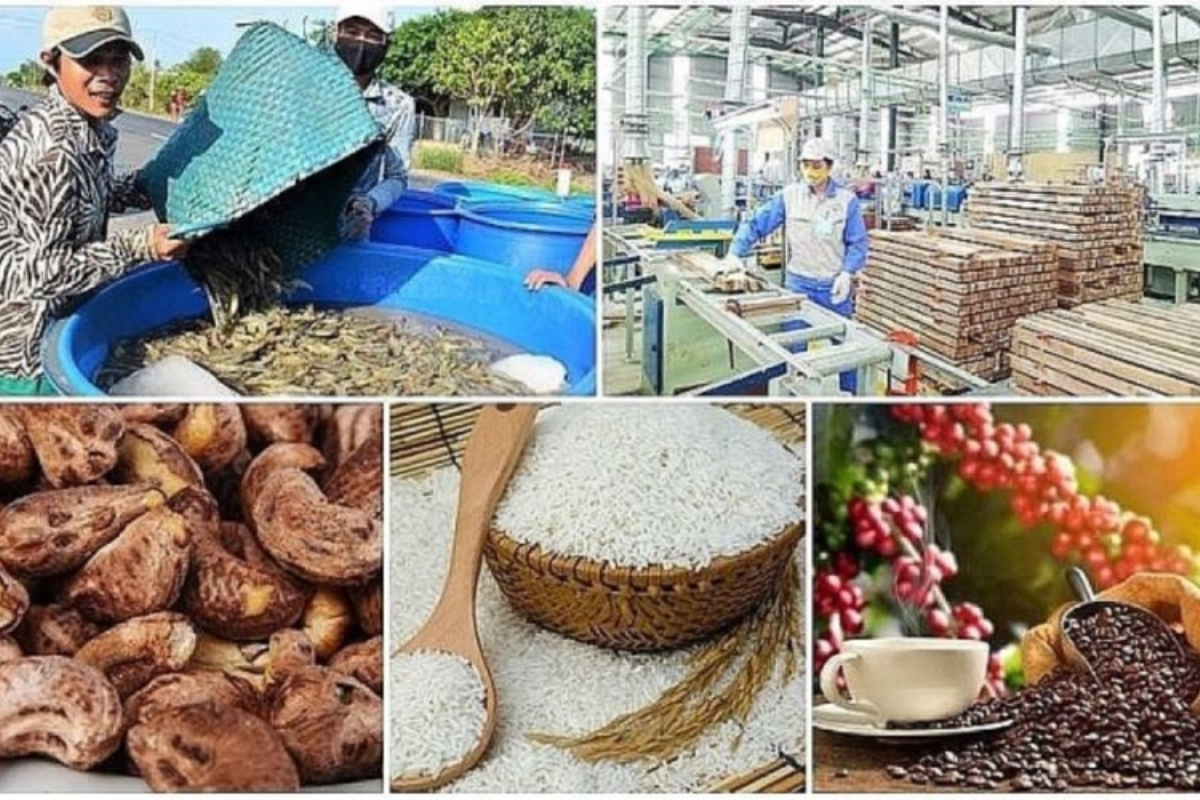 xuat-khau-nong-lam-thuy-san-cua-viet-nam-trong-6-thang-dau-nam-2025-dat-33-5-ty-usd-tang-14-3-so-voi-cung-ky-anh-minh-hoa-..png