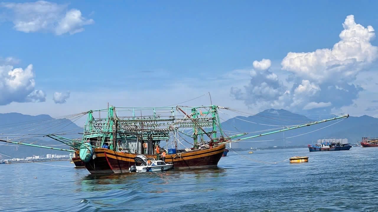 15-8-iuu9.jpg