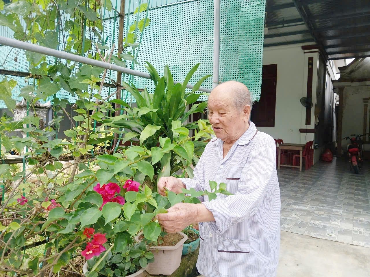 cu_tran_hau_hoa cu_tran_hau_hoa.jpg