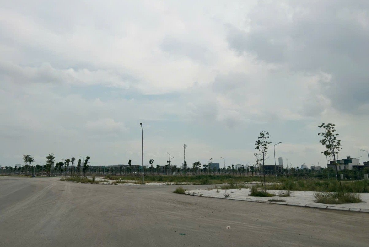 hatang.jpg