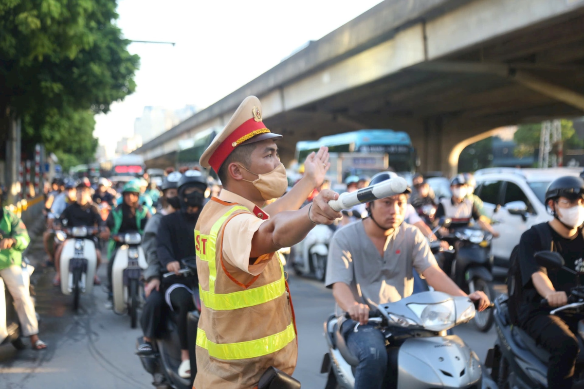 luc-luong-chuc-nang-phan-luong-gao-thong-anh-minh-hoa luc-luong-chuc-nang-phan-luong-gao-thong-anh-minh-hoa-.png