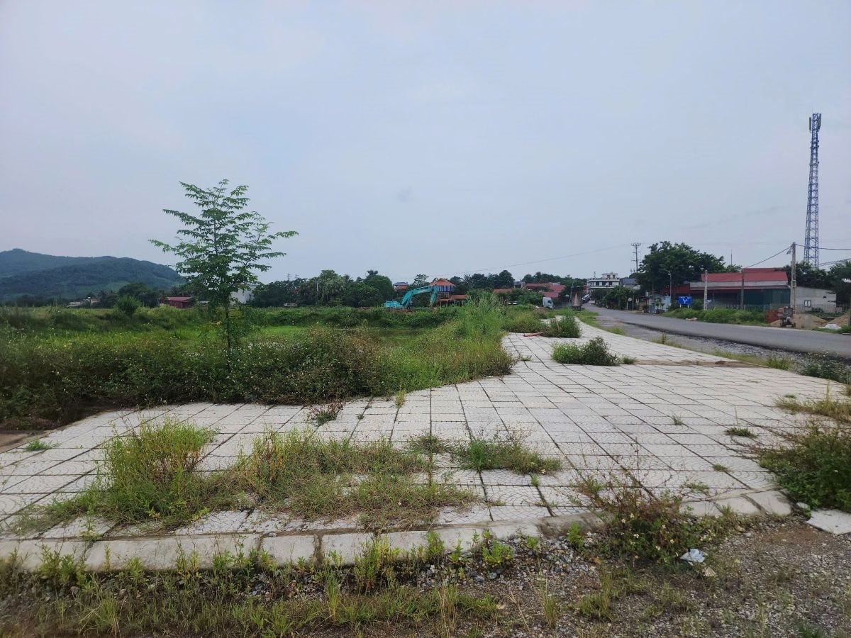 matbang.jpg