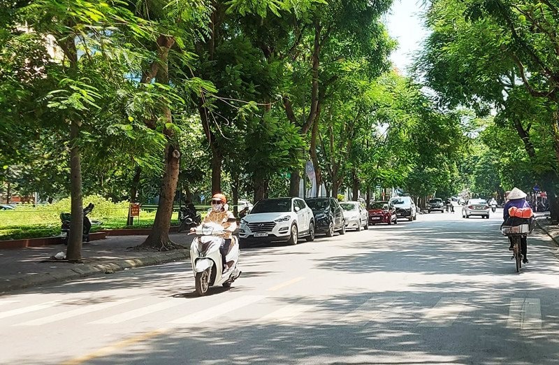 nang-nong nang-nong.jpg